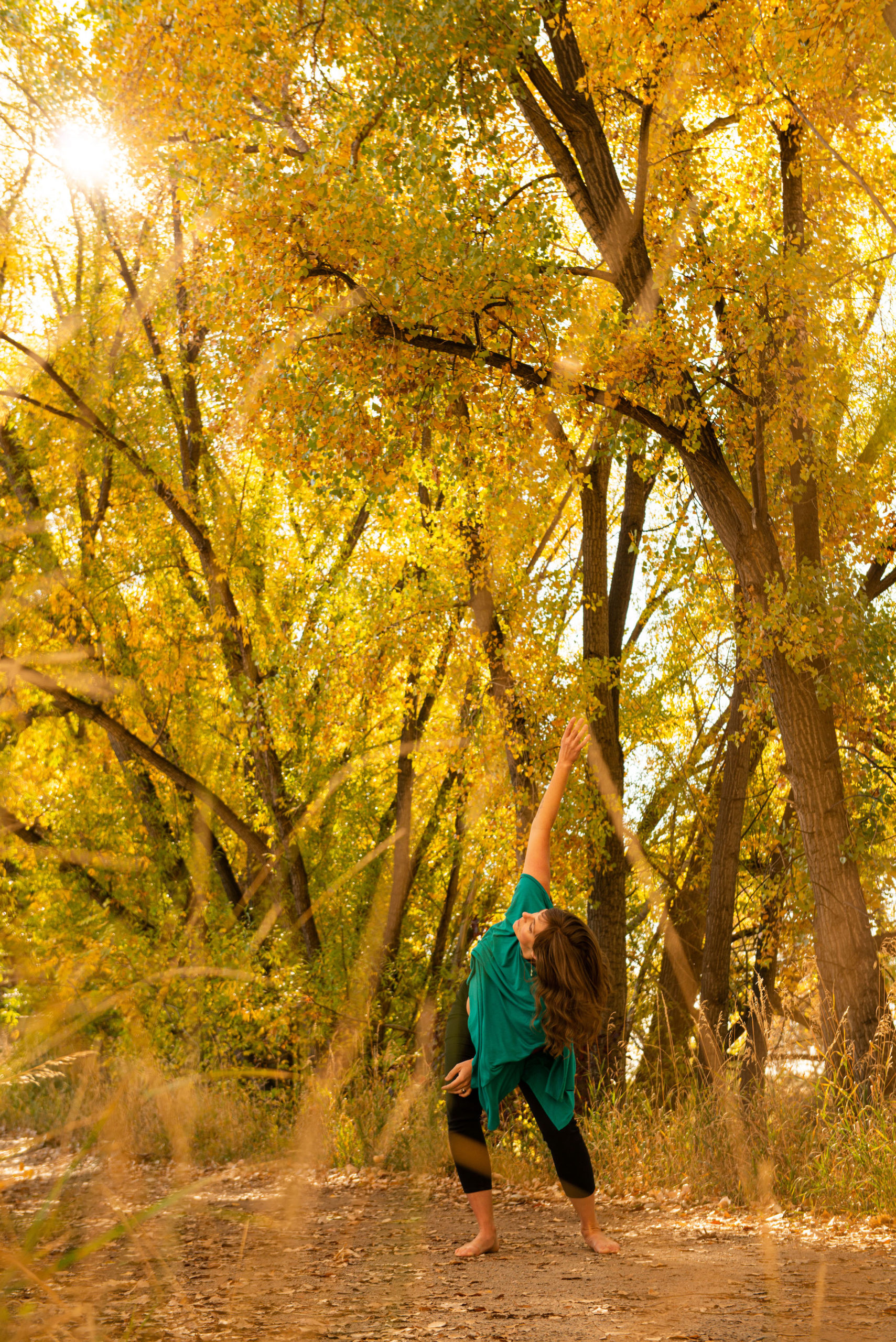 Therapy in Boulder, Colorado